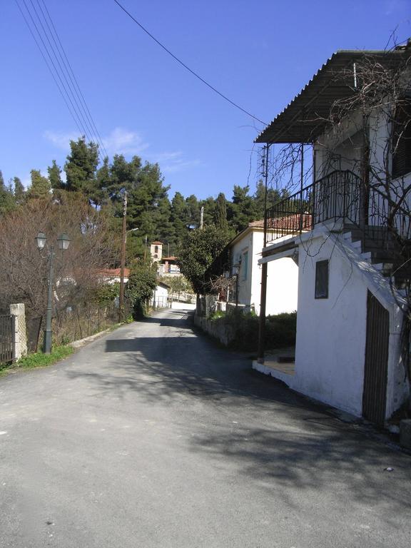 Village Holiday House Nick Agia Paraskevi (Kassandra) Exterior foto